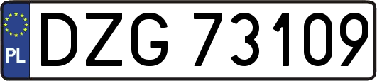 DZG73109