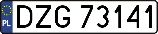 DZG73141