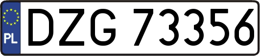 DZG73356