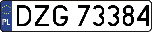 DZG73384