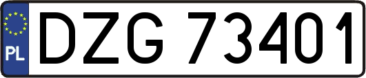 DZG73401