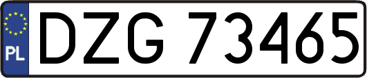 DZG73465