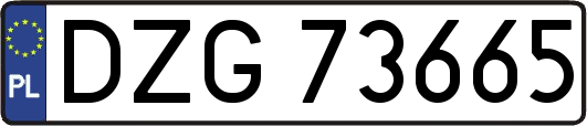 DZG73665