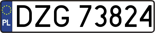 DZG73824