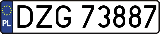 DZG73887