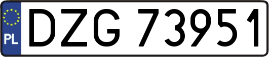 DZG73951