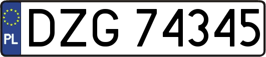 DZG74345