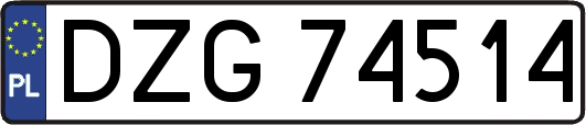 DZG74514