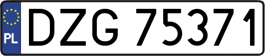 DZG75371