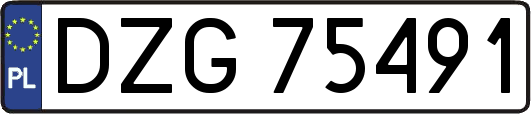 DZG75491