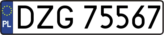 DZG75567