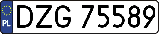 DZG75589