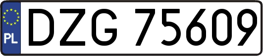 DZG75609