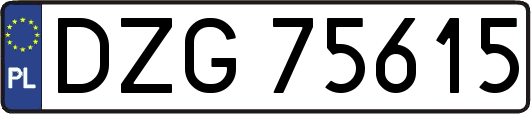 DZG75615