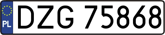 DZG75868