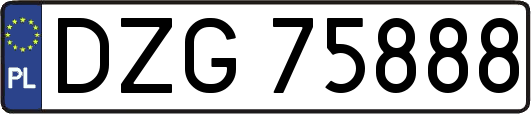 DZG75888