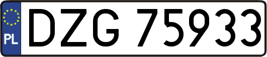 DZG75933