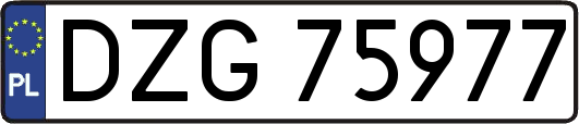 DZG75977