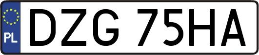 DZG75HA