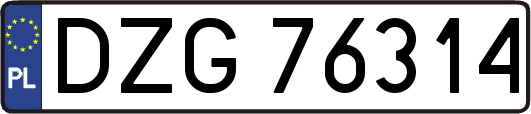 DZG76314