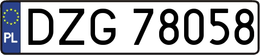 DZG78058