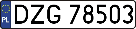 DZG78503