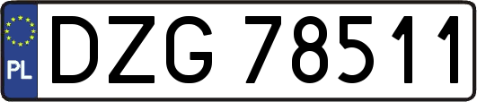 DZG78511