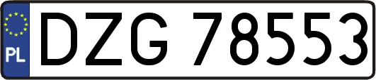 DZG78553