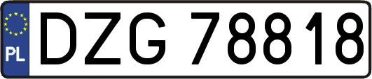 DZG78818