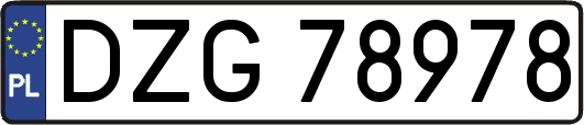DZG78978