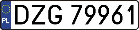 DZG79961