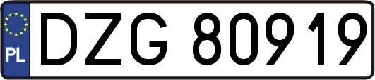 DZG80919