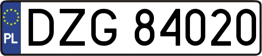 DZG84020