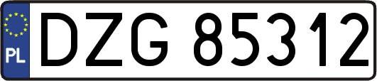 DZG85312