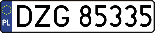 DZG85335