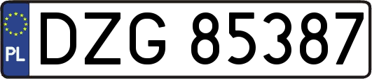 DZG85387