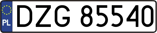 DZG85540