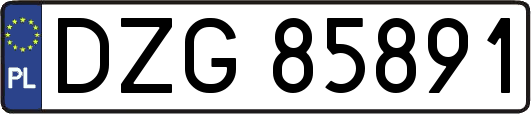 DZG85891