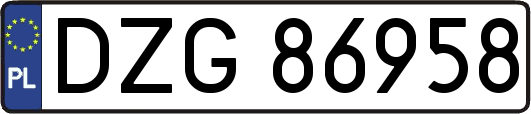 DZG86958