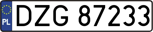 DZG87233