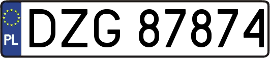 DZG87874