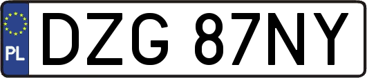 DZG87NY