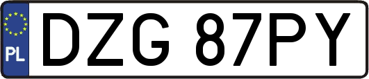 DZG87PY