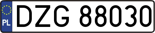 DZG88030