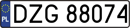 DZG88074