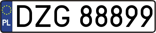 DZG88899