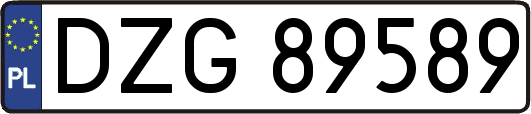 DZG89589