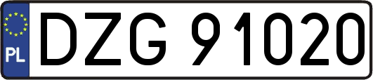 DZG91020