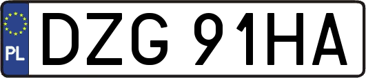 DZG91HA