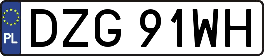 DZG91WH